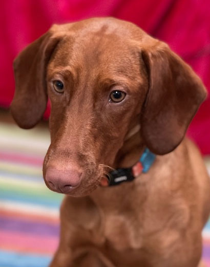 Lola